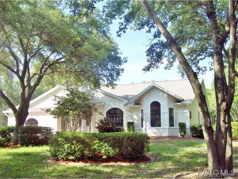 4291 N Indianhead Rd, Hernando, FL 34442 photo 2