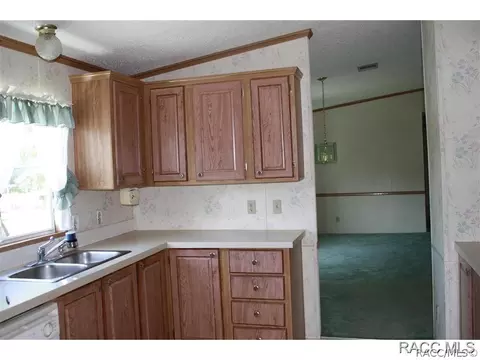 2592 E Monte Ct, Hernando, FL 34442 photo 10