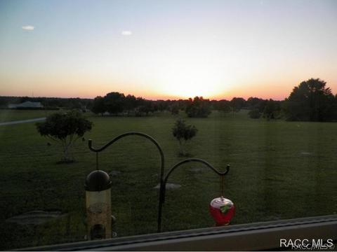 733 E Bismark St, Hernando, FL 34442 photo 7
