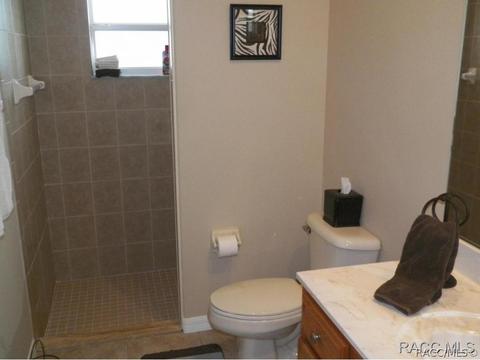 733 E Bismark St, Hernando, FL 34442 photo 19