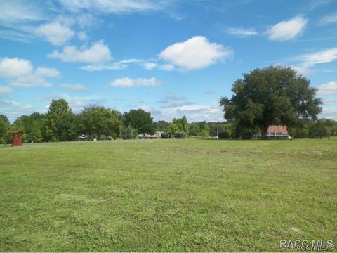 733 E Bismark St, Hernando, FL 34442 photo 29