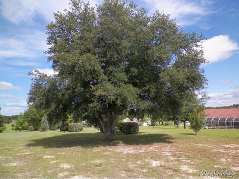 733 E Bismark St, Hernando, FL 34442 photo 28