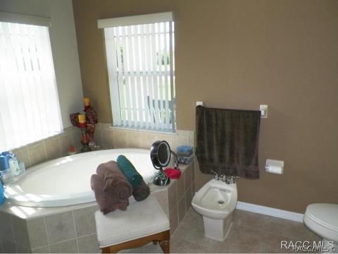 733 E Bismark St, Hernando, FL 34442 photo 12