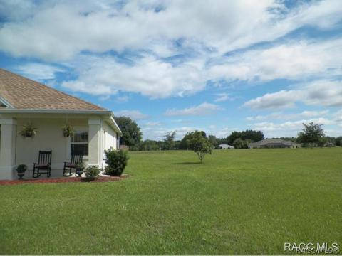 733 E Bismark St, Hernando, FL 34442 photo 27