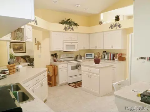 570 E Dakota Ct, Hernando, FL 34442 photo 14
