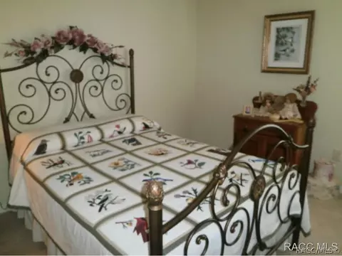 570 E Dakota Ct, Hernando, FL 34442 photo 25