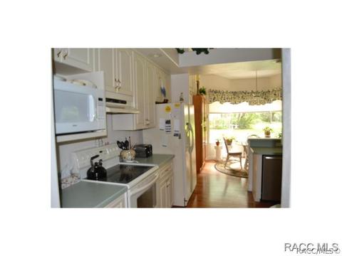 483 N Grandview Ave, Hernando, FL 34442 photo 13