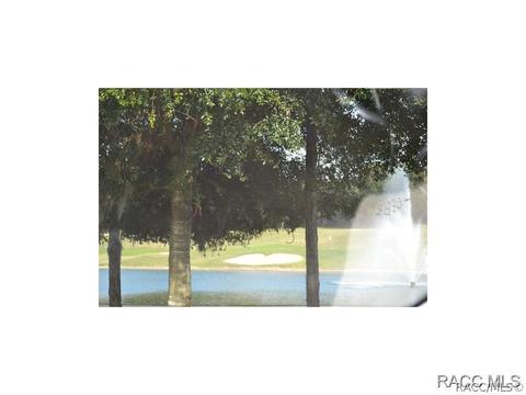 483 N Grandview Ave, Hernando, FL 34442 photo 31