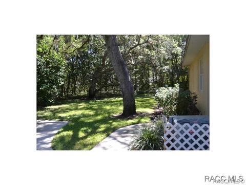 483 N Grandview Ave, Hernando, FL 34442 photo 30