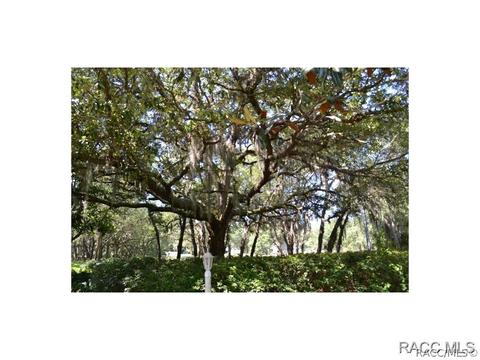 483 N Grandview Ave, Hernando, FL 34442 photo 29
