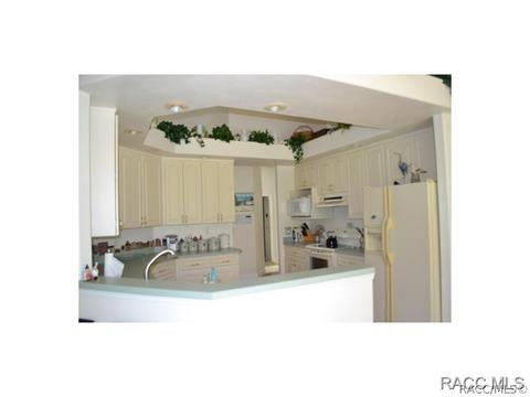 483 N Grandview Ave, Hernando, FL 34442 photo 11