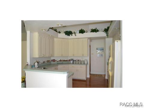 483 N Grandview Ave, Hernando, FL 34442 photo 12