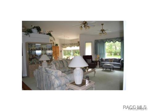 483 N Grandview Ave, Hernando, FL 34442 photo 8