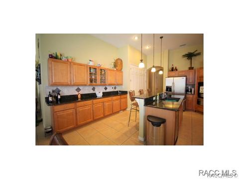 1990 N Eagle Chase Dr, Hernando, FL 34442 photo 16