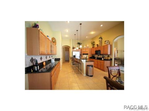 1990 N Eagle Chase Dr, Hernando, FL 34442 photo 14