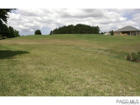 479 W Mickey Mantle Path, Hernando, FL 34442 photo 23