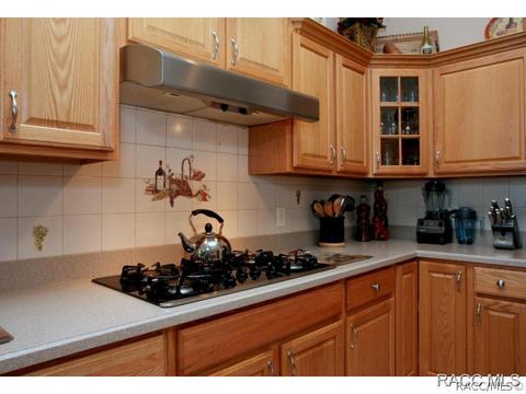 479 W Mickey Mantle Path, Hernando, FL 34442 photo 10
