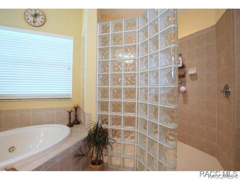 479 W Mickey Mantle Path, Hernando, FL 34442 photo 13