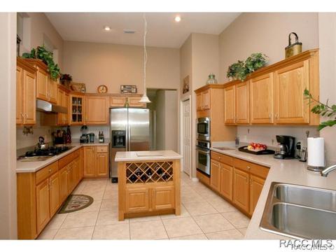 479 W Mickey Mantle Path, Hernando, FL 34442 photo 8