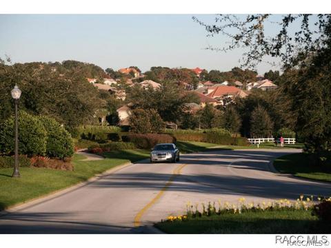479 W Mickey Mantle Path, Hernando, FL 34442 photo 29