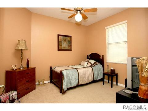 479 W Mickey Mantle Path, Hernando, FL 34442 photo 15