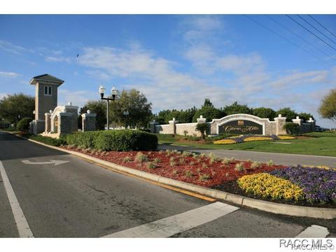 479 W Mickey Mantle Path, Hernando, FL 34442 photo 33