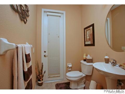 479 W Mickey Mantle Path, Hernando, FL 34442 photo 19