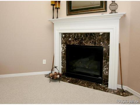 479 W Mickey Mantle Path, Hernando, FL 34442 photo 14