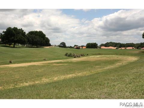 479 W Mickey Mantle Path, Hernando, FL 34442 photo 22