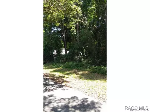 22 Palm Point Dr, Inglis, FL 34449 photo 10