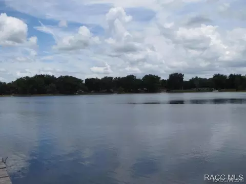 3799 Eagle Trl, Hernando, FL 34442 photo 20