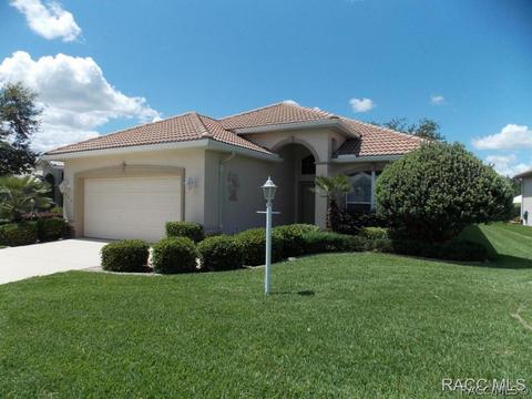 895 W Silver Meadow Loop, Hernando, FL 34442 photo 1
