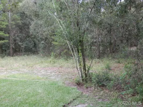 72 E Liberty St, Hernando, FL 34442 photo 30