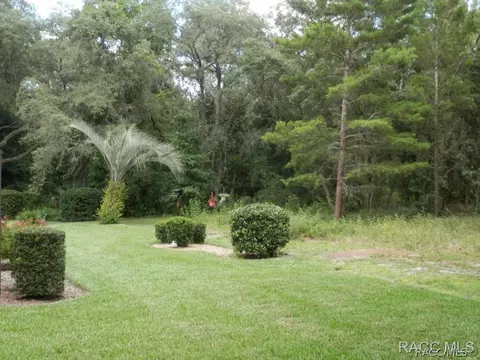 72 E Liberty St, Hernando, FL 34442 photo 29