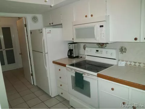 340 E Glassboro 19-1b Ct #1B, Hernando, FL 34442 photo 5