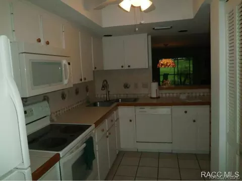 340 E Glassboro 19-1b Ct #1B, Hernando, FL 34442 photo 4