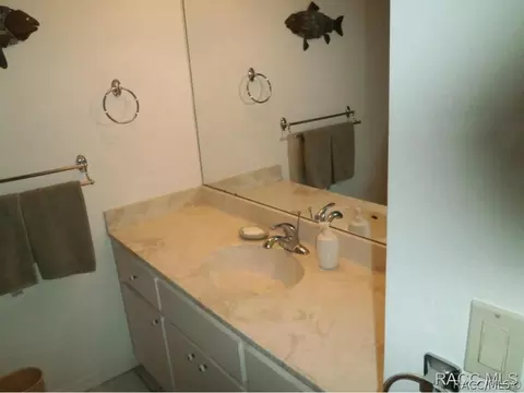 340 E Glassboro 19-1b Ct #1B, Hernando, FL 34442 photo 10