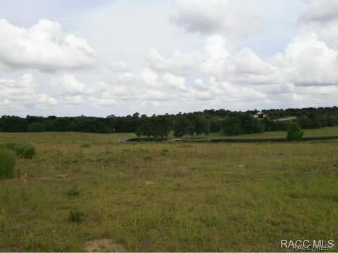 1630 E Ridgeline Path, Inverness, FL 34453 photo 6