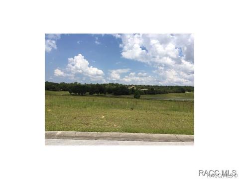 1630 E Ridgeline Path, Inverness, FL 34453 photo 4
