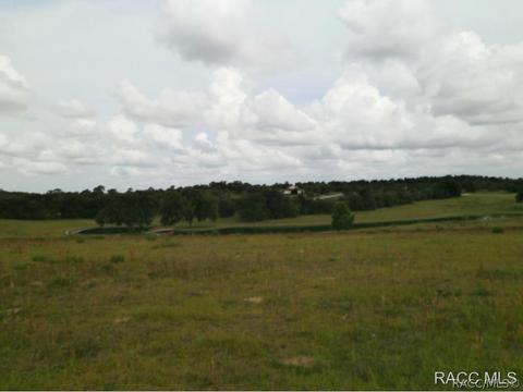 1630 E Ridgeline Path, Inverness, FL 34453 photo 8