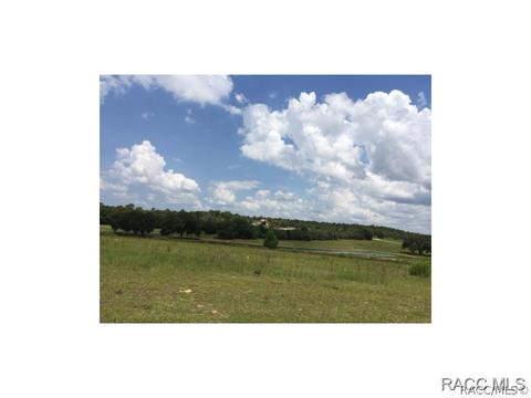 1630 E Ridgeline Path, Inverness, FL 34453 photo 5