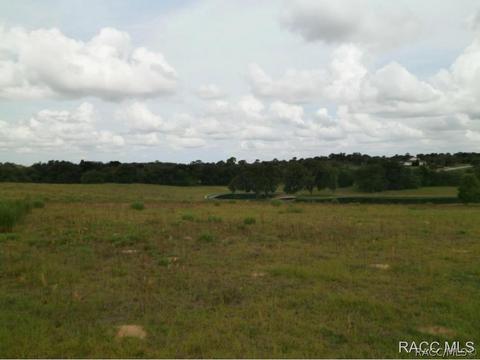 1630 E Ridgeline Path, Inverness, FL 34453 photo 7