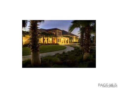 1271 W Double Eagle Ct, Hernando, FL 34442 photo 25