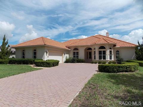 1271 W Double Eagle Ct, Hernando, FL 34442 photo 1