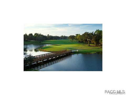 1271 W Double Eagle Ct, Hernando, FL 34442 photo 31