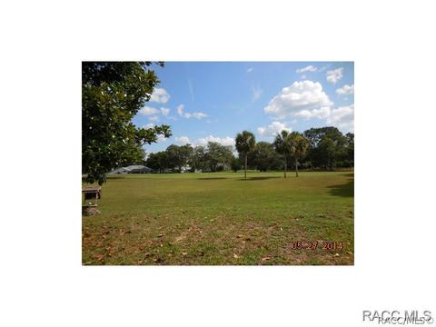 782 E Falconry, Hernando, FL 34442 photo 4