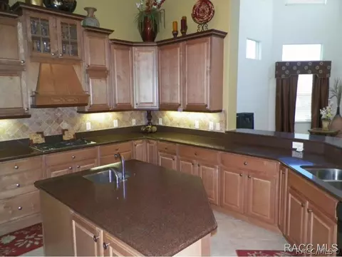 1397 W Double Eagle Ct, Hernando, FL 34442 photo 5