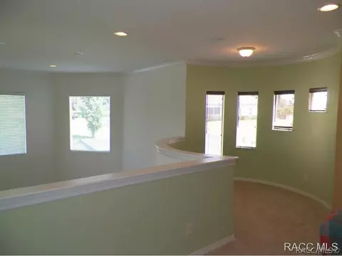 1397 W Double Eagle Ct, Hernando, FL 34442 photo 19