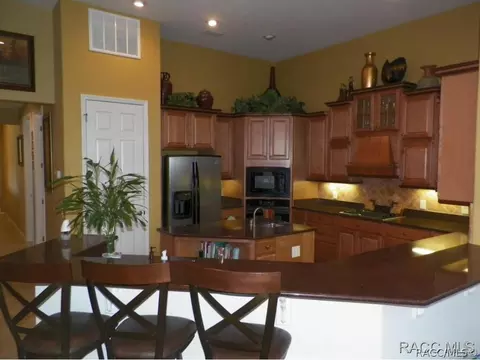 1397 W Double Eagle Ct, Hernando, FL 34442 photo 4