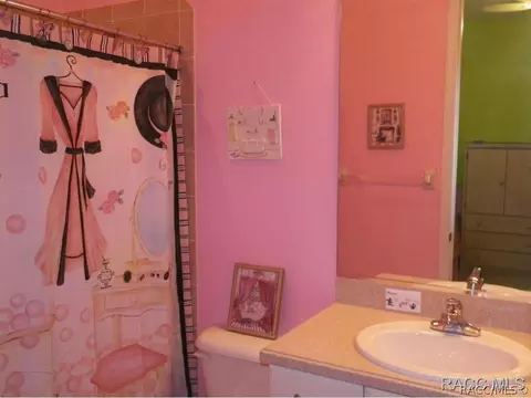 1397 W Double Eagle Ct, Hernando, FL 34442 photo 22